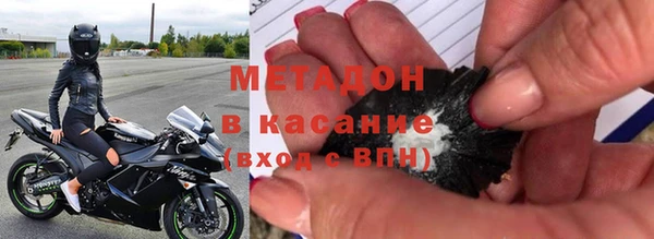 прущие грибы Бабаево