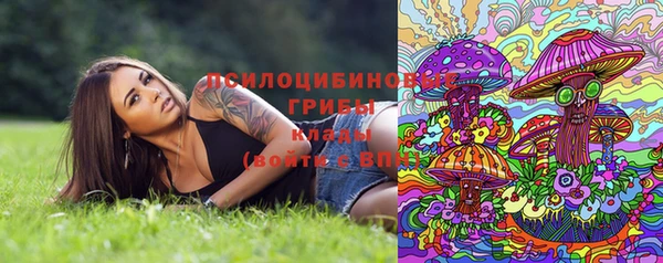 первитин Медвежьегорск
