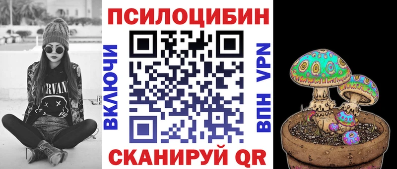blacksprut   купить наркоту  Щигры  Галлюциногенные грибы Psilocybine cubensis 